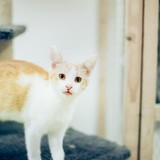 240789993_10220817639173681_563458249332018880_n