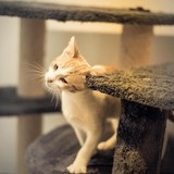 240794488_10220817640013702_4243455791389056558_n