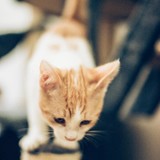 240800065_10220817638653668_8989615004694800433_n