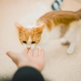 240808202_10220817654254058_2718328548427010178_n