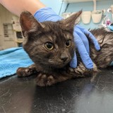 241648607_10220901317305582_8757001595955806065_n