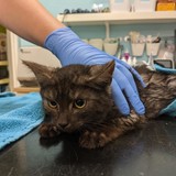 241905318_10220901318185604_7448458425462513638_n