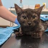 241795700_10220901318585614_2842284009754346786_n