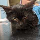 241818103_10220901320065651_4469742197509036061_n