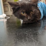 241826017_10220901319305632_9072580758568608440_n