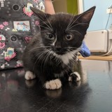 241817376_10220901320745668_8230119456031485073_n