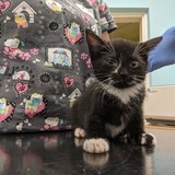 241839207_10220901321745693_5829066201769575102_n