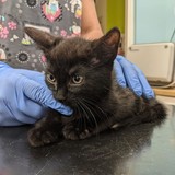 241850776_10220901322625715_5654129690900410545_n