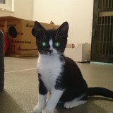 241752835_235865285165875_9198647232229041624_n