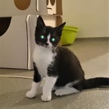 241774074_1888466284647823_66526816633893502_n