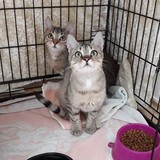 240726564_10220817808297909_4927498272652786276_n