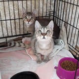 240815611_10220817808937925_921154721007899900_n