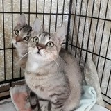 240802451_10220817807377886_2040907668262511810_n