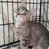 240802463_10220817806217857_5126527897787701520_n