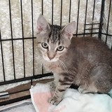 240808956_10220817806817872_3648876314866589736_n