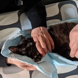 187342459_10220257672254858_926638754930119817_n