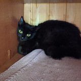 196437480_10220402590717729_7796938559607962447_n