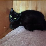 196650331_10220402590157715_4570456847979285208_n