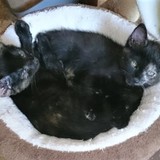 225714362_4443958432337905_2718592685917225018_n