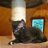 230537902_4443957599004655_2956487523846615383_n