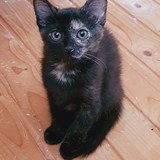 228301346_4443953352338413_7438911929276063029_n