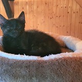 231628064_4443952902338458_7854473549151534836_n