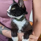 241795606_10220901341546188_385923991676043000_n