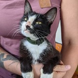 241795618_10220901342066201_6208376588573890573_n