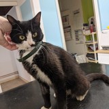 242197440_10220924591807430_2270923162357123317_n