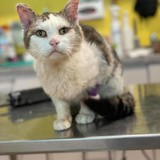 218060991_507759440296247_1441941746321259806_n