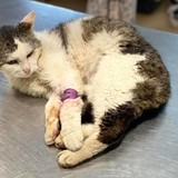 218441072_1210300879398411_3239387598473763485_n