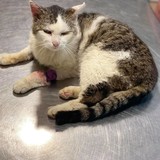 222621519_348096410187947_800251634438592073_n