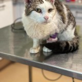 225172312_344056890763055_5303075827212317692_n