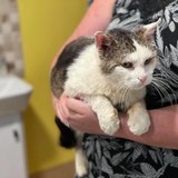 226532890_543326107084072_2020401834884157847_n