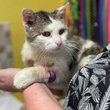 235756860_4471512622915819_7761255644257085401_n