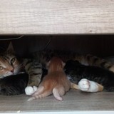 184694354_508986960124281_4960916725977725188_n