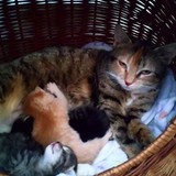 186330503_1149675378839176_5289069895544374605_n