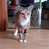 240818313_535040497745599_8478353444491901476_n