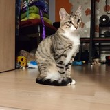 240706902_10220817832738520_6208419729216876686_n