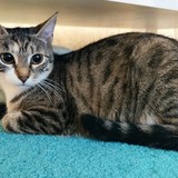 238753830_1822423967959835_7485739837495121670_n