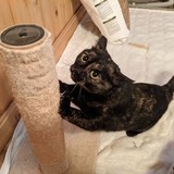 244469051_10221011671264362_4169210920784143312_n