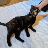 244525848_10221011670344339_2097780408275959289_n