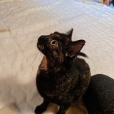 244612793_10221011674784450_2062686424292729880_n