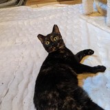 244629818_10221011673784425_5196467398082560267_n