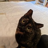 244638066_10221011674384440_76102140871951114_n