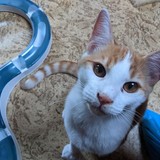 244436919_10221011628143284_6638878206551290715_n