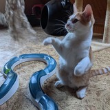 244500715_10221011624983205_9059448648850359289_n