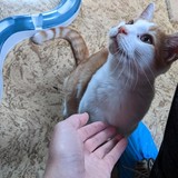 244566682_10221011631103358_8233538025382838428_n