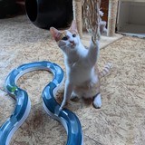 244589890_10221011625543219_736095449744988338_n