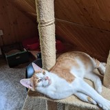 244607607_10221011603462667_8217903759845701644_n